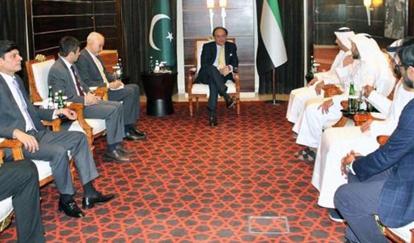 Fianance Minister Aurangzeb, Dubai-based bankers discuss strengthening of economic cooperation