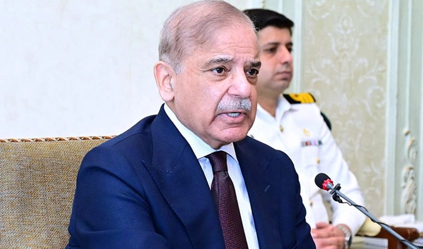 PM Shehbaz Sharif satisfied as IMF disburses final tranche of US$1.1 bln