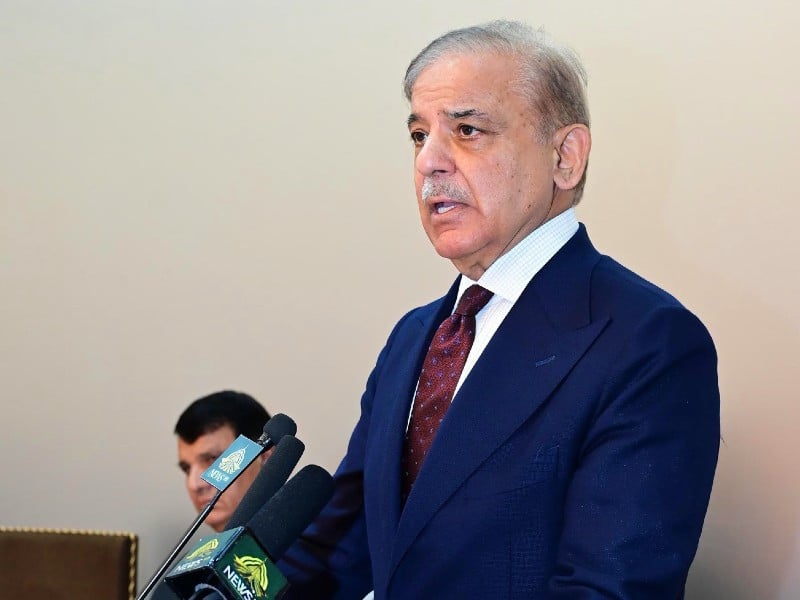 prime minister shehbaz sharif address the chinese engineers and government officials on april 1 2024 photo pid