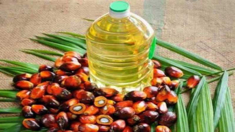 Soyabean, palm oil imports grew 53.07%, 28.55% in 9 months