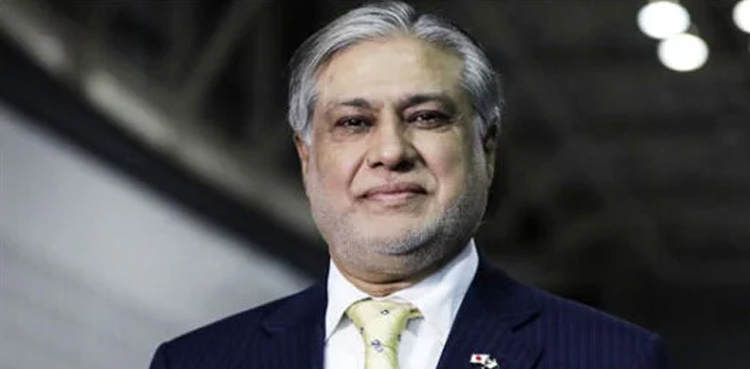 Deputy PM Ishaq Dar to lead Pakistan delegation at OIC Summit