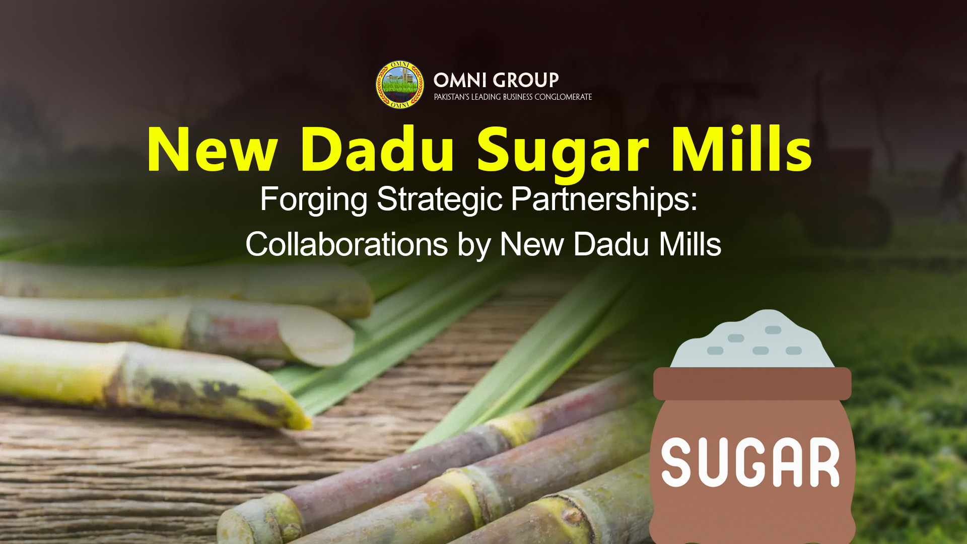 Forging Strategic Partnerships: Collaborations by New Dadu Mills