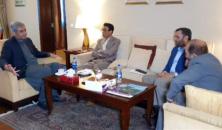 Interior Minister Mohsin Naqvi, MQM delegation discuss political situation