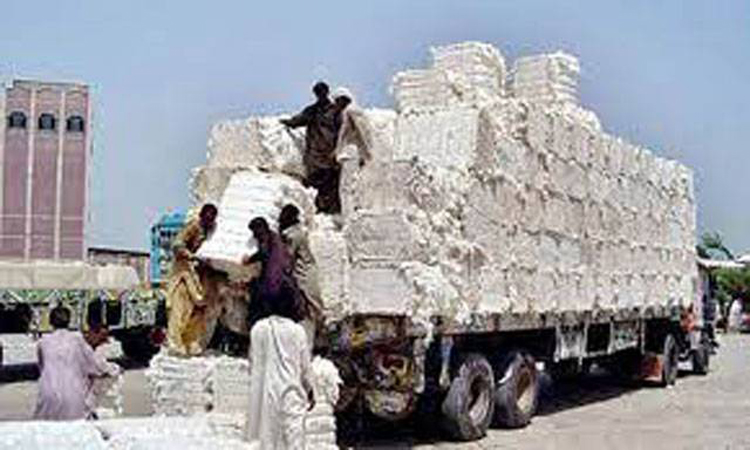 Mega Cotton Seminar held in Bahawalpur