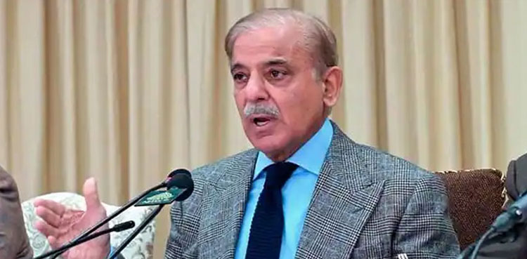 Slashed fuel prices to provide respite to common man: PM Shehbaz