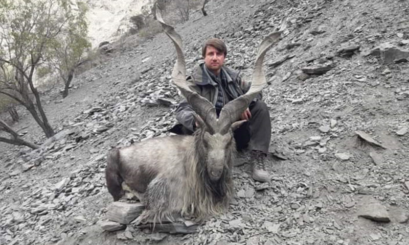 The United Nations has declared May 24 as International Markhor Day